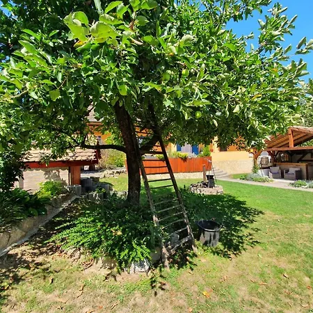 Vakantiehuis Casa Mama Met Prive Zwembad Monyorod Exterior photo
